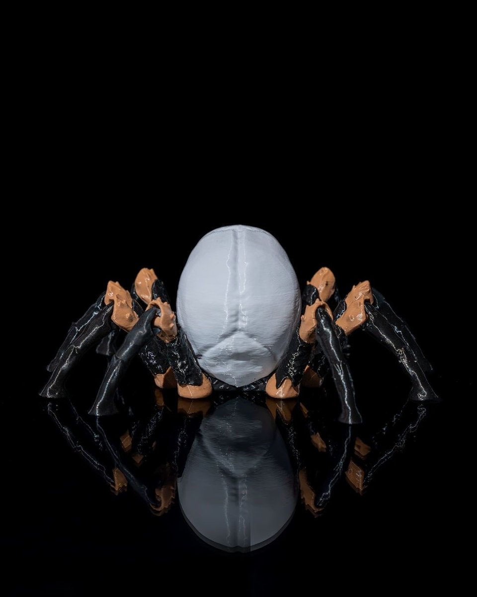 Skull Spider - The Phynagrin Show