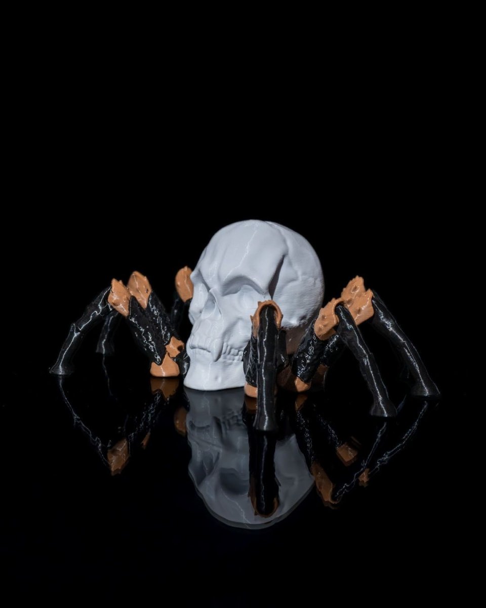 Skull Spider - The Phynagrin Show