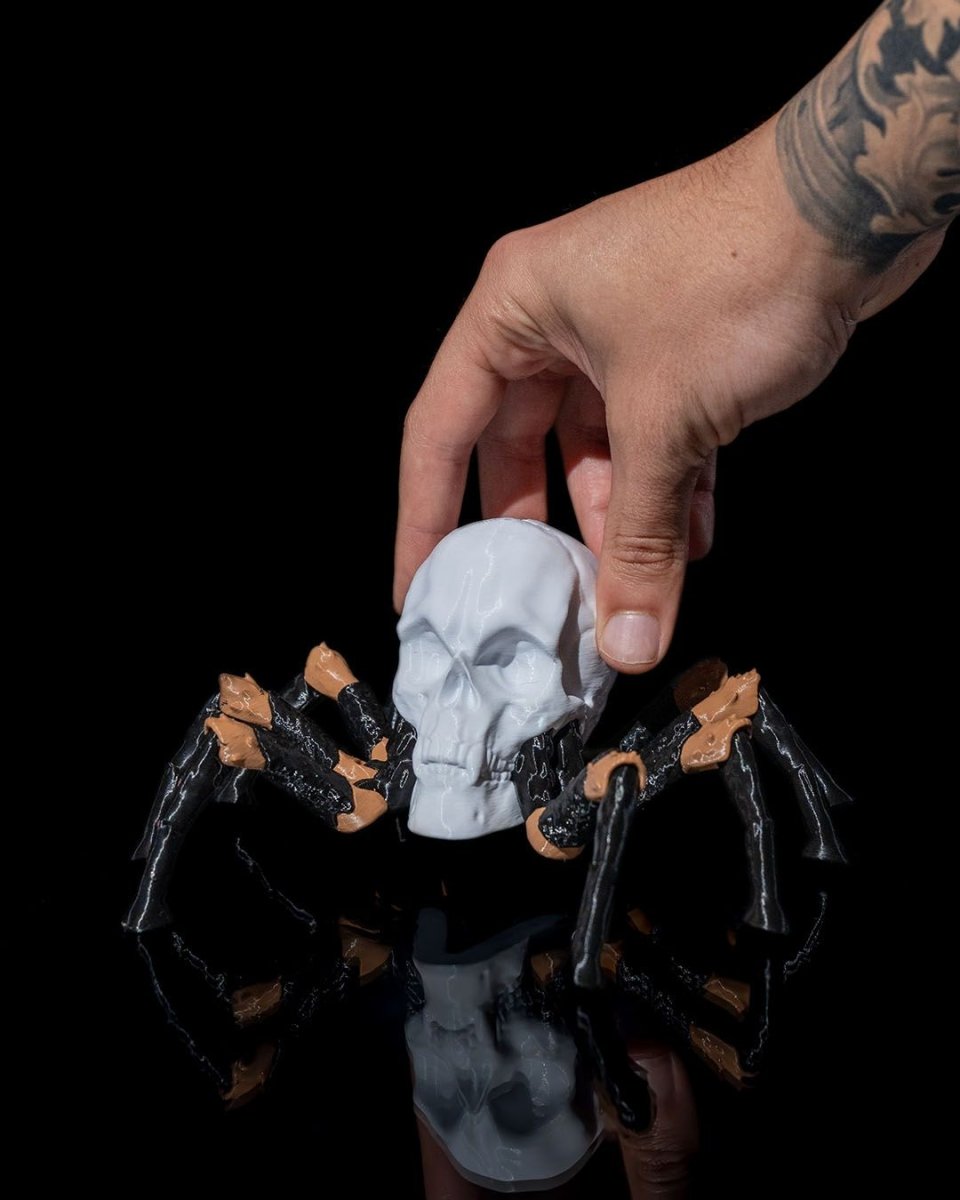 Skull Spider - The Phynagrin Show