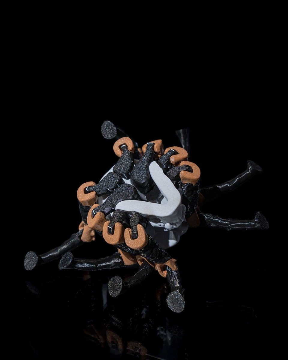 Skull Spider - The Phynagrin Show
