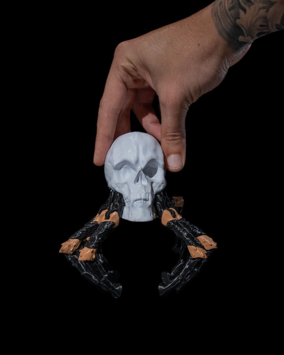 Skull Spider - The Phynagrin Show
