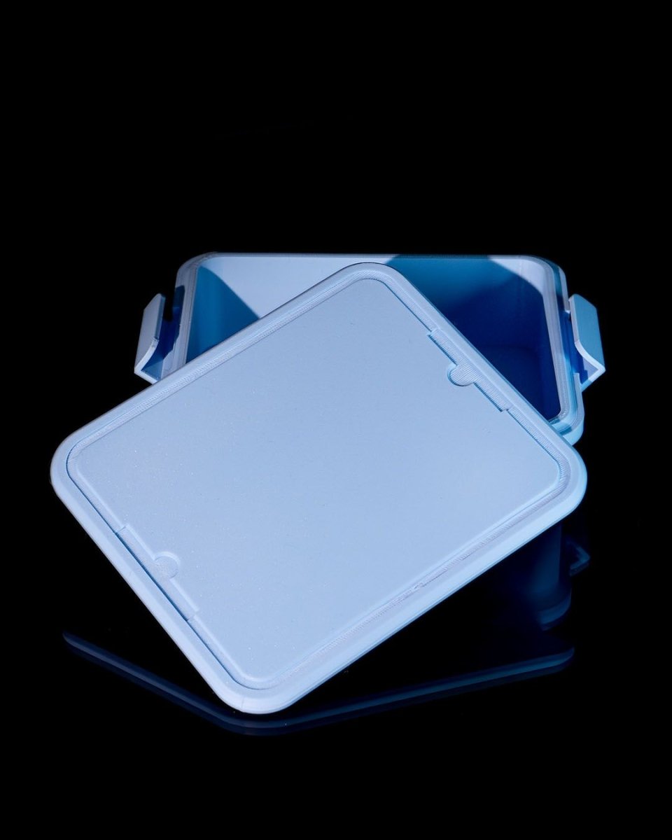 Snap on Storage Case with Clasps - The Phynagrin Show