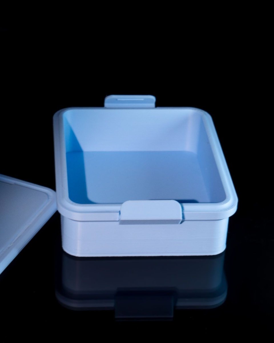 Snap on Storage Case with Clasps - The Phynagrin Show