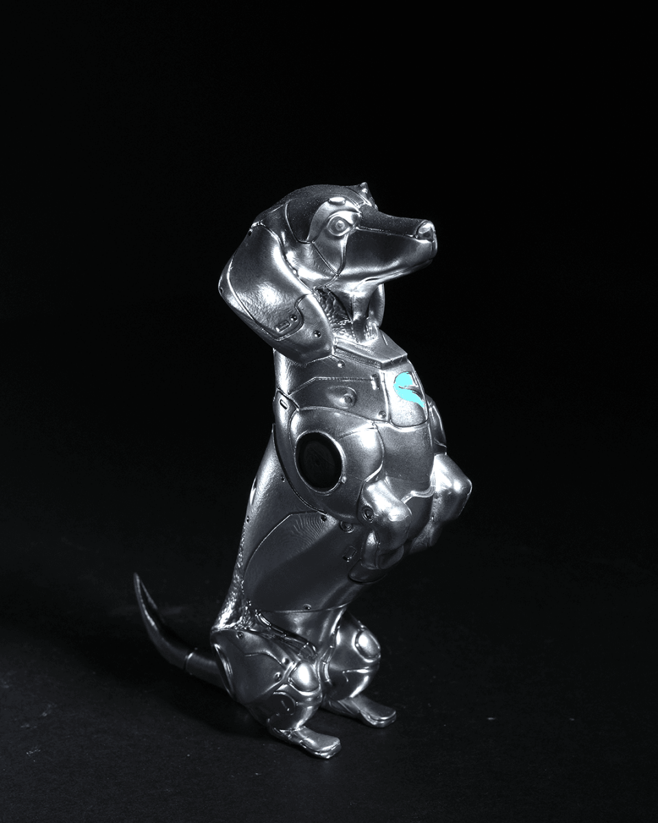 Space Pooch Trio - The Phynagrin Show