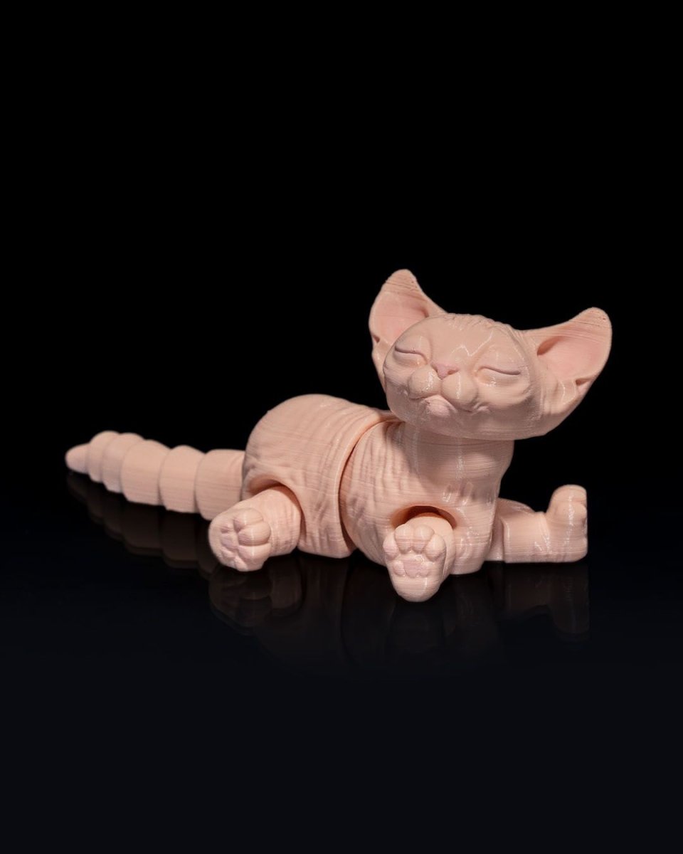 Sphynx Cat - The Phynagrin Show
