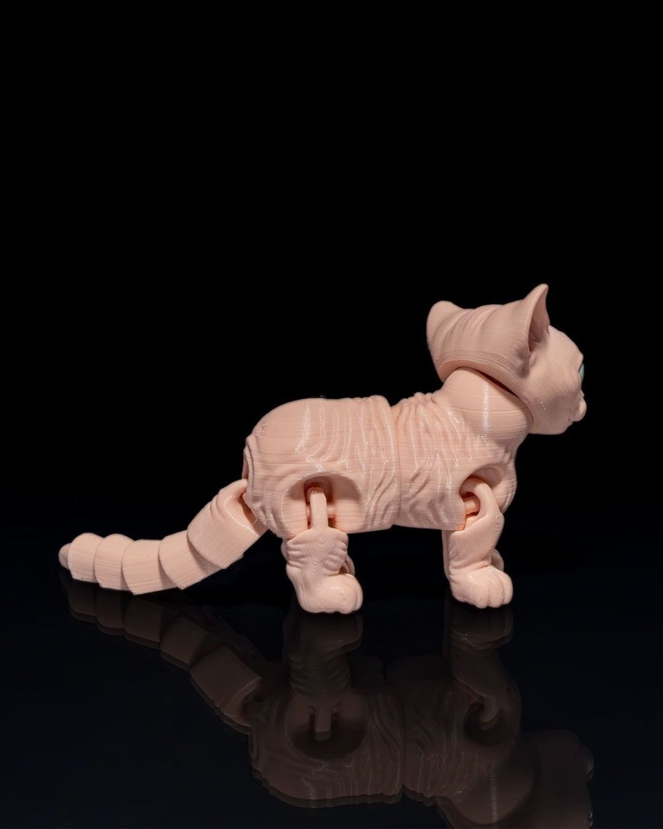 Sphynx Cat - The Phynagrin Show