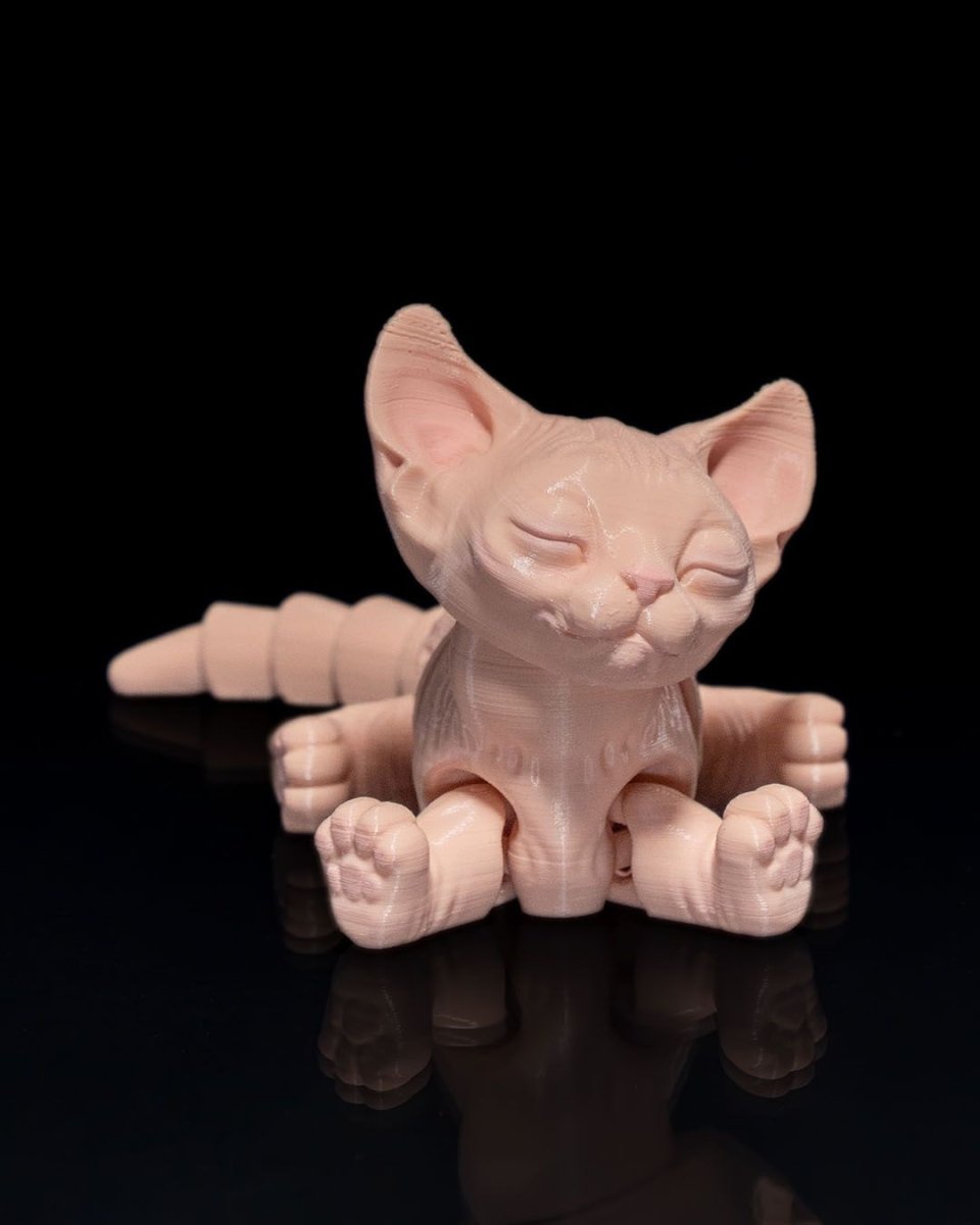 Sphynx Cat - The Phynagrin Show