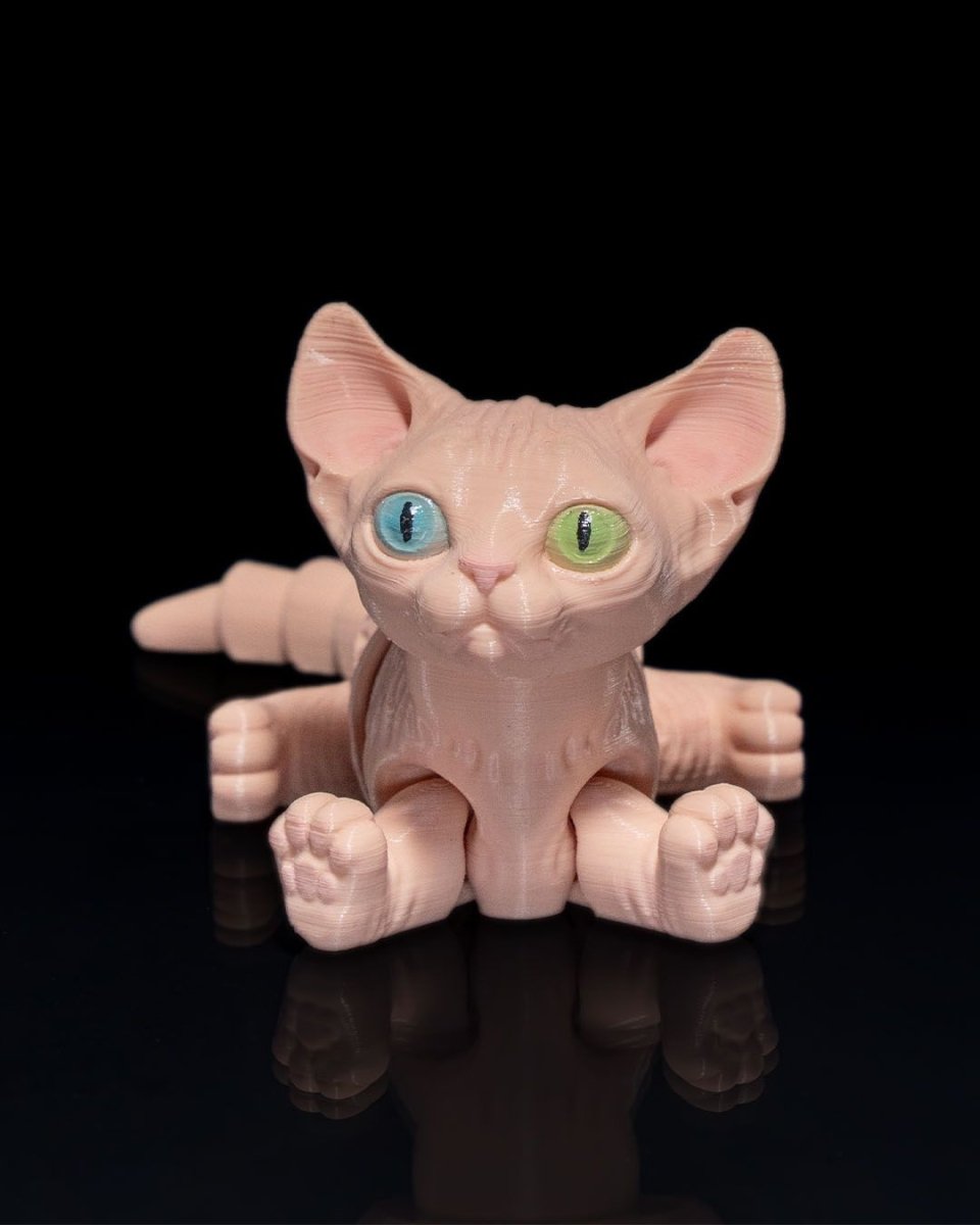 Sphynx Cat - The Phynagrin Show
