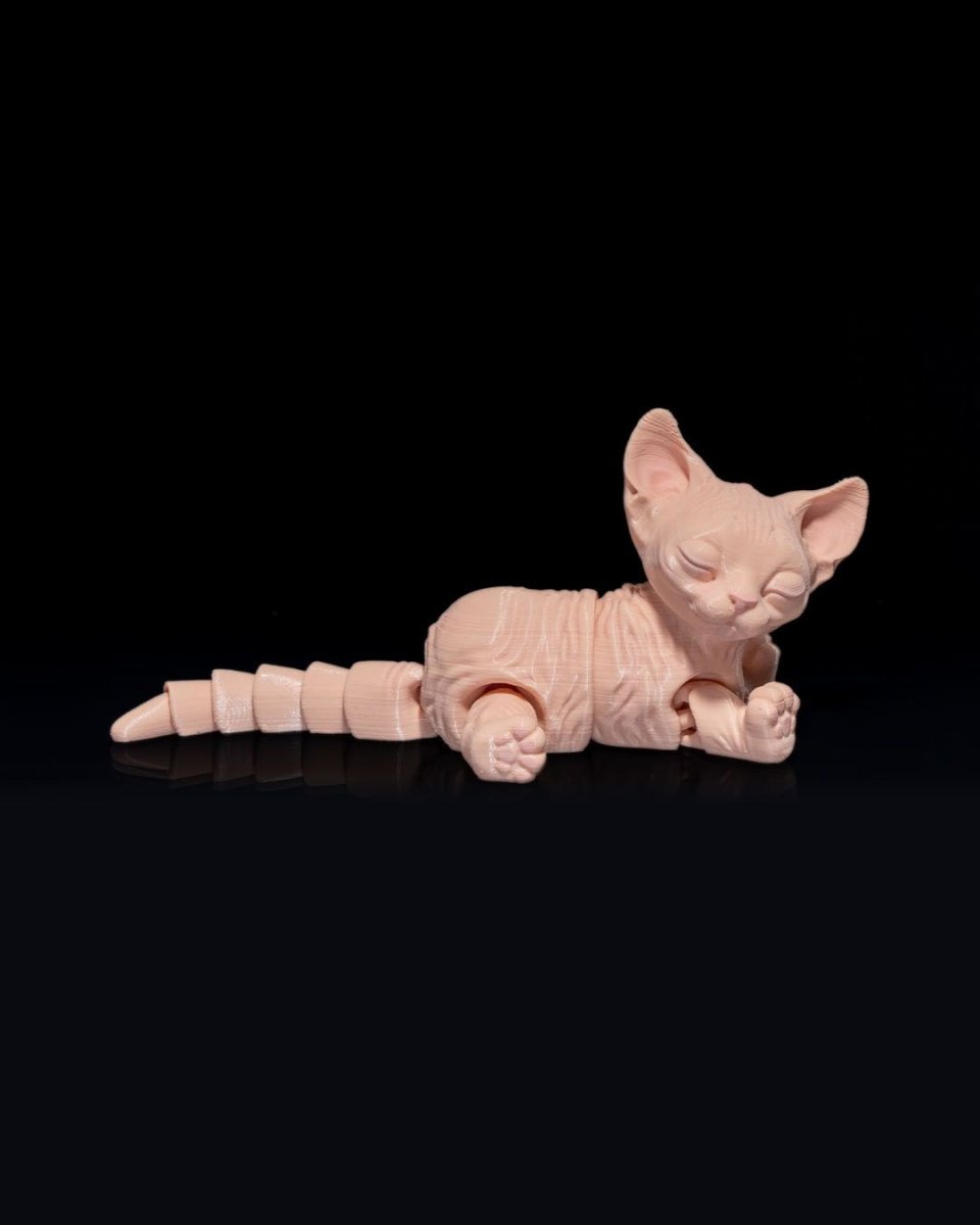 Sphynx Cat - The Phynagrin Show