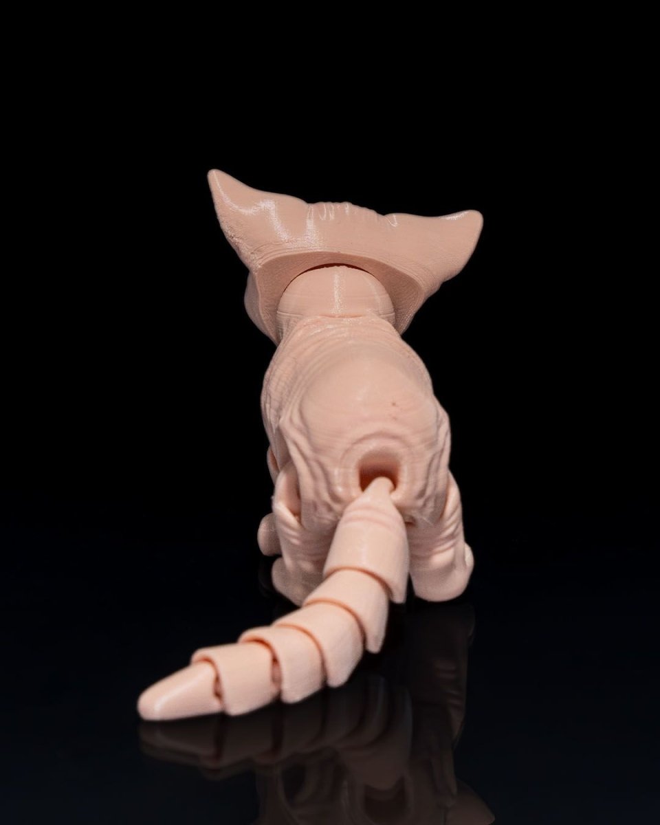 Sphynx Cat - The Phynagrin Show