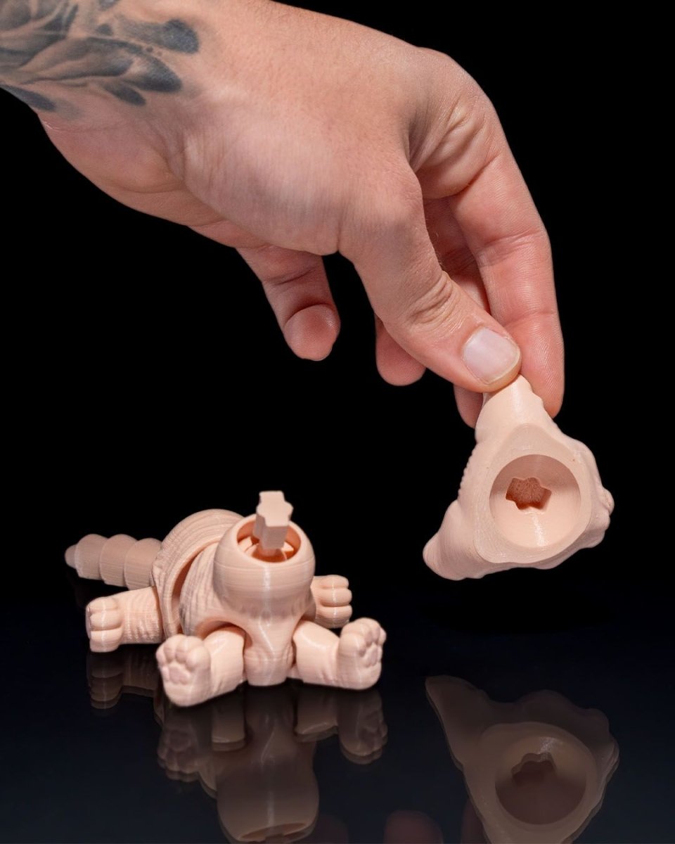 Sphynx Cat - The Phynagrin Show