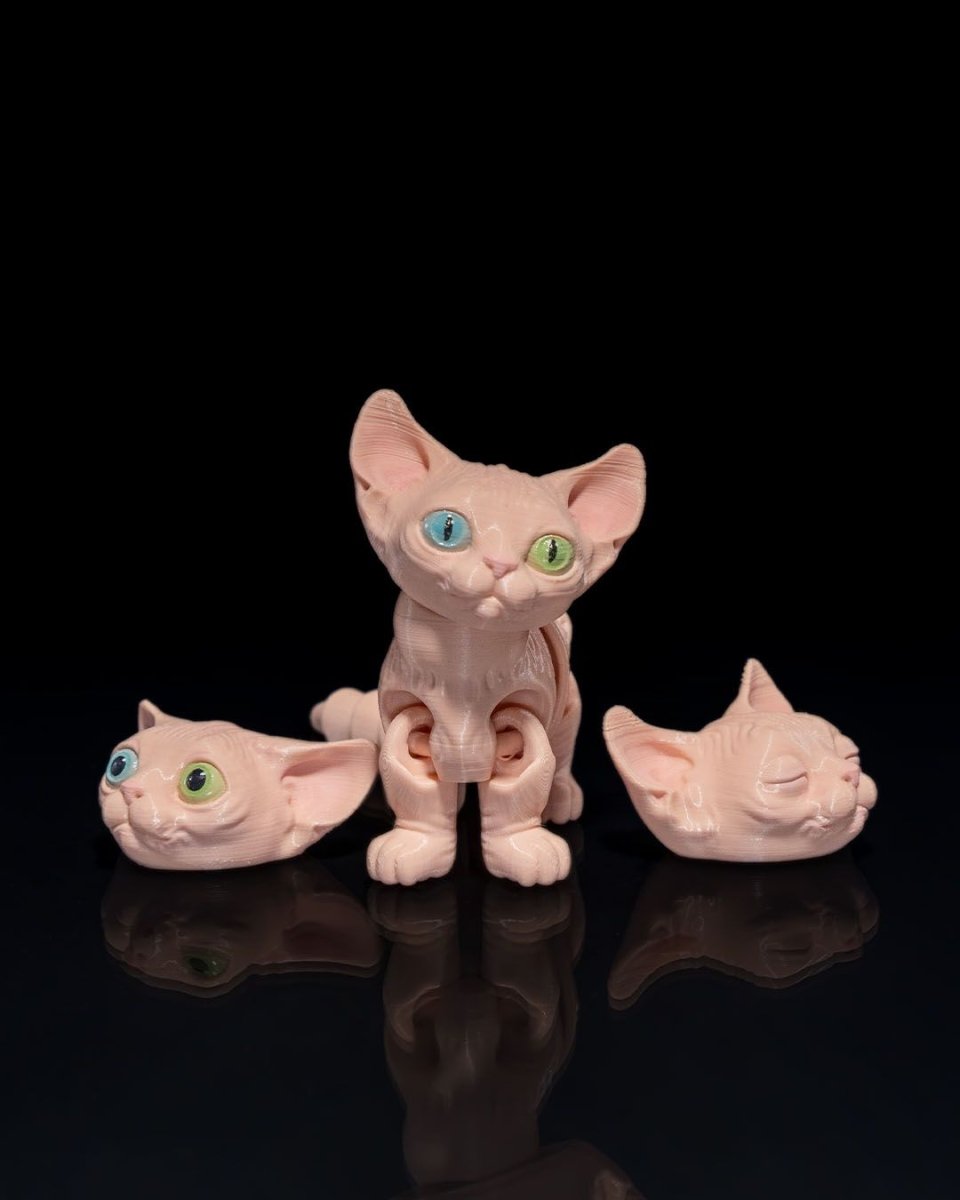 Sphynx Cat - The Phynagrin Show