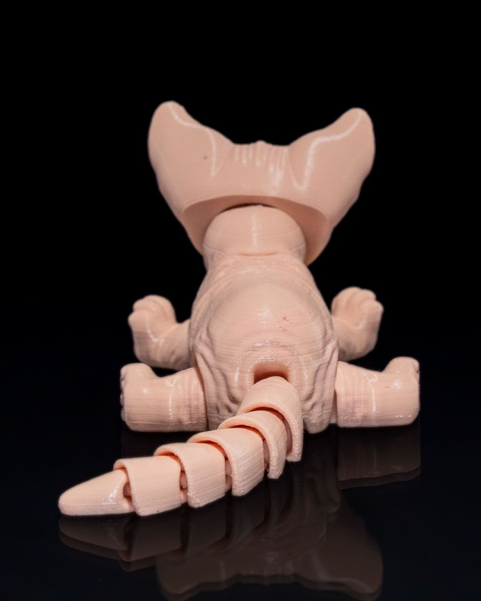 Sphynx Cat - The Phynagrin Show