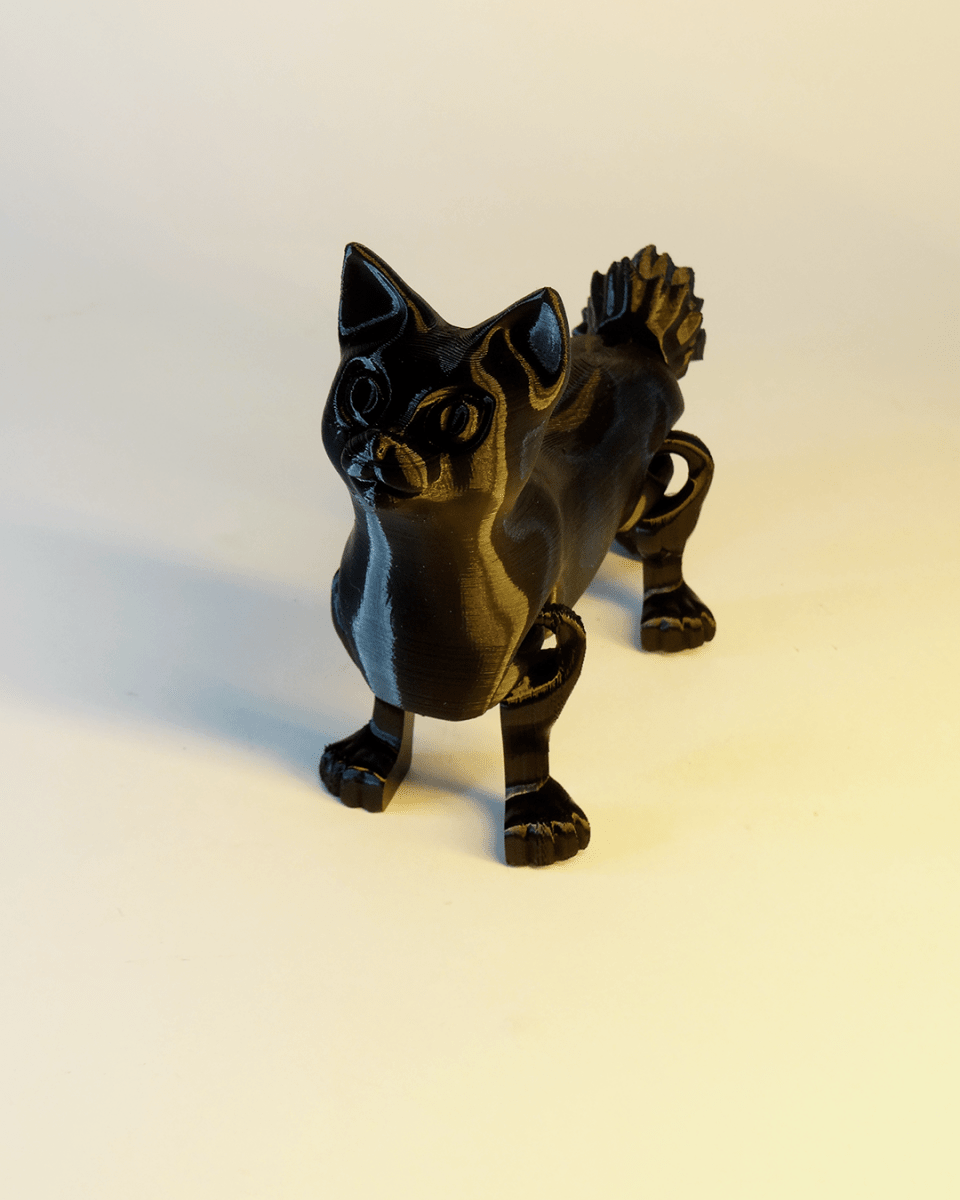 The Cat - The Phynagrin Show