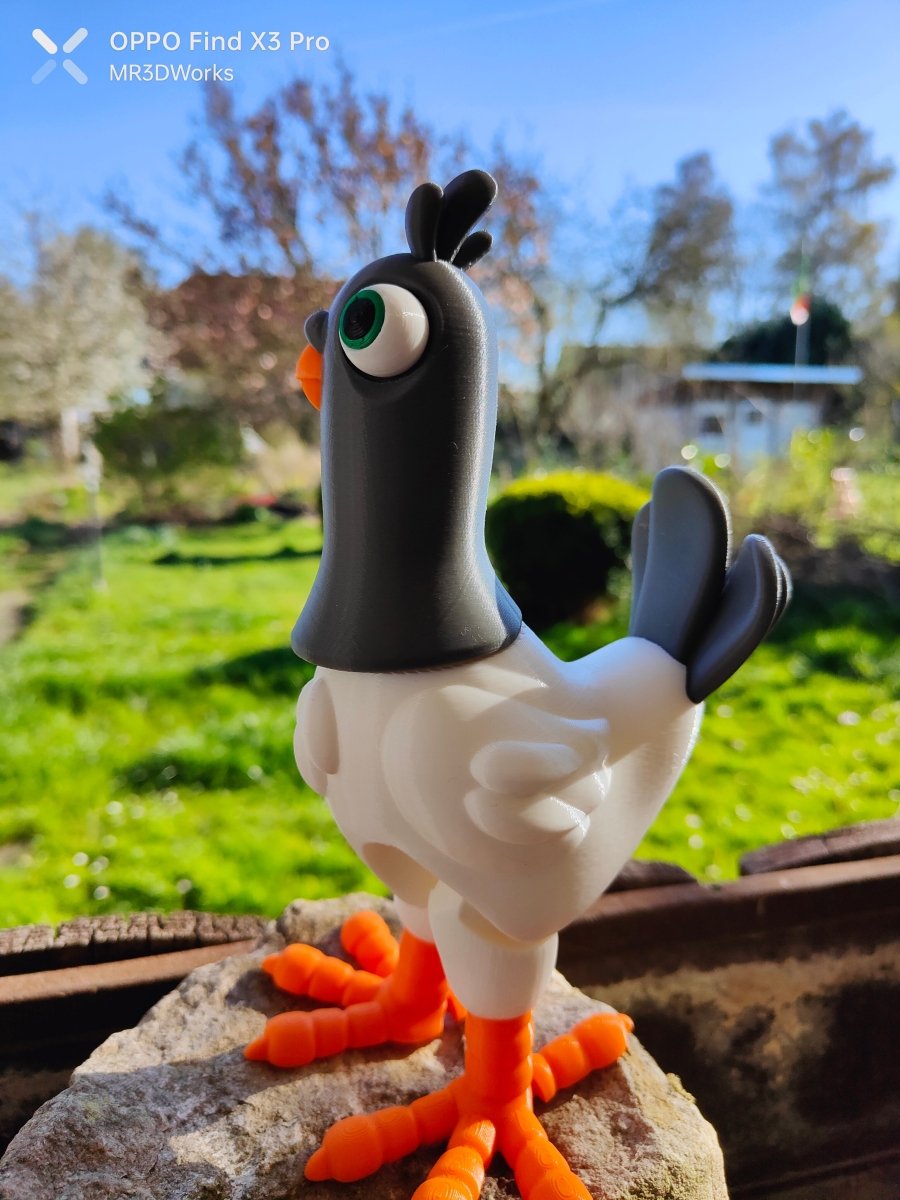 The Lost Pidgeon - The Phynagrin Show