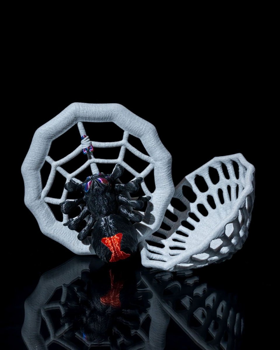 The Spider's Candy Bowl - The Phynagrin Show