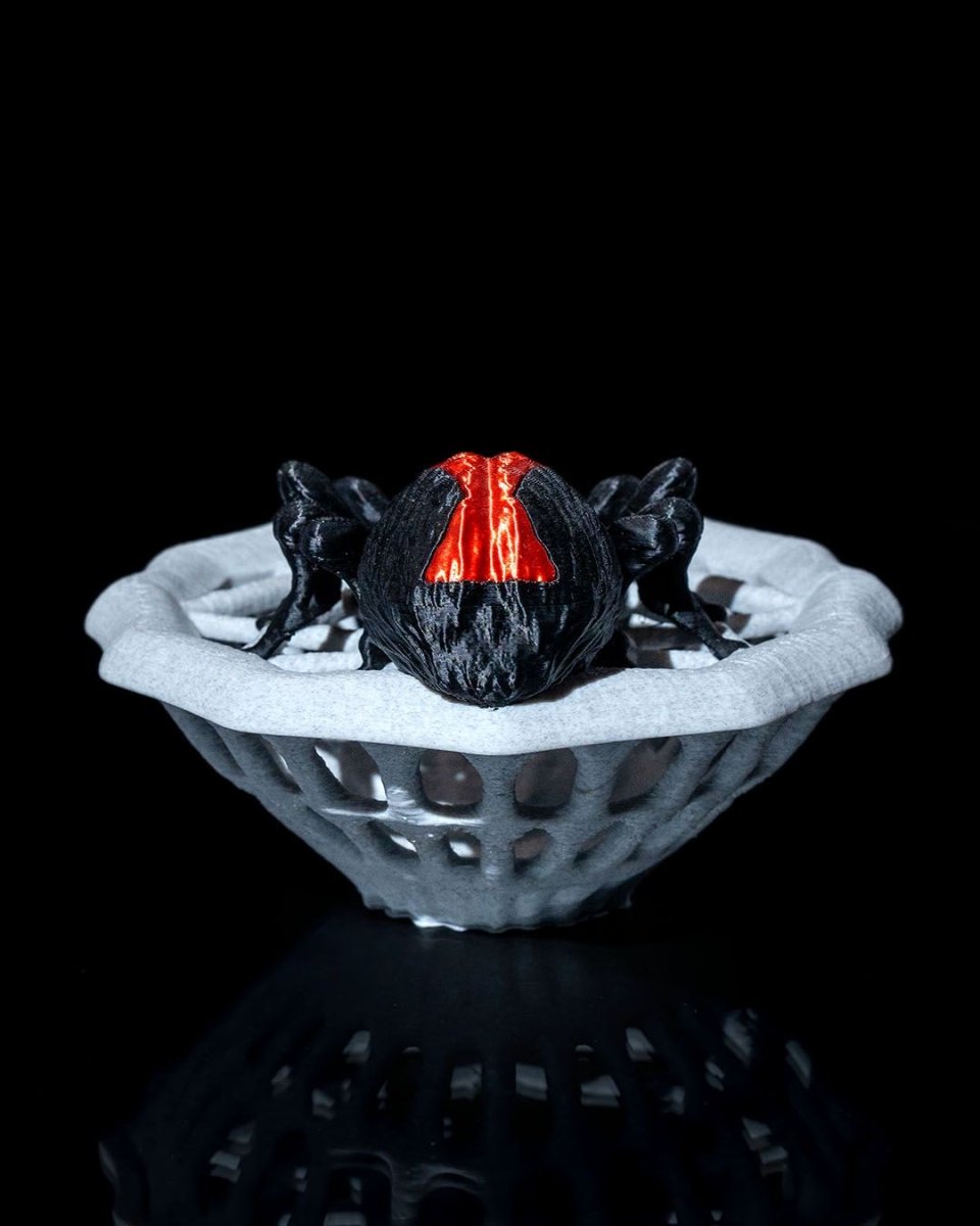 The Spider's Candy Bowl - The Phynagrin Show