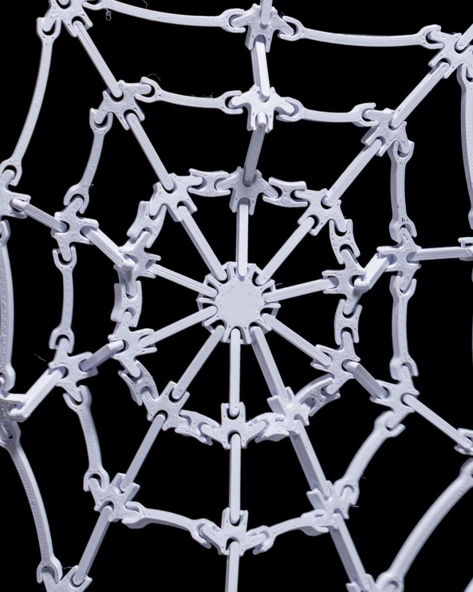 The Spider's Web - The Phynagrin Show