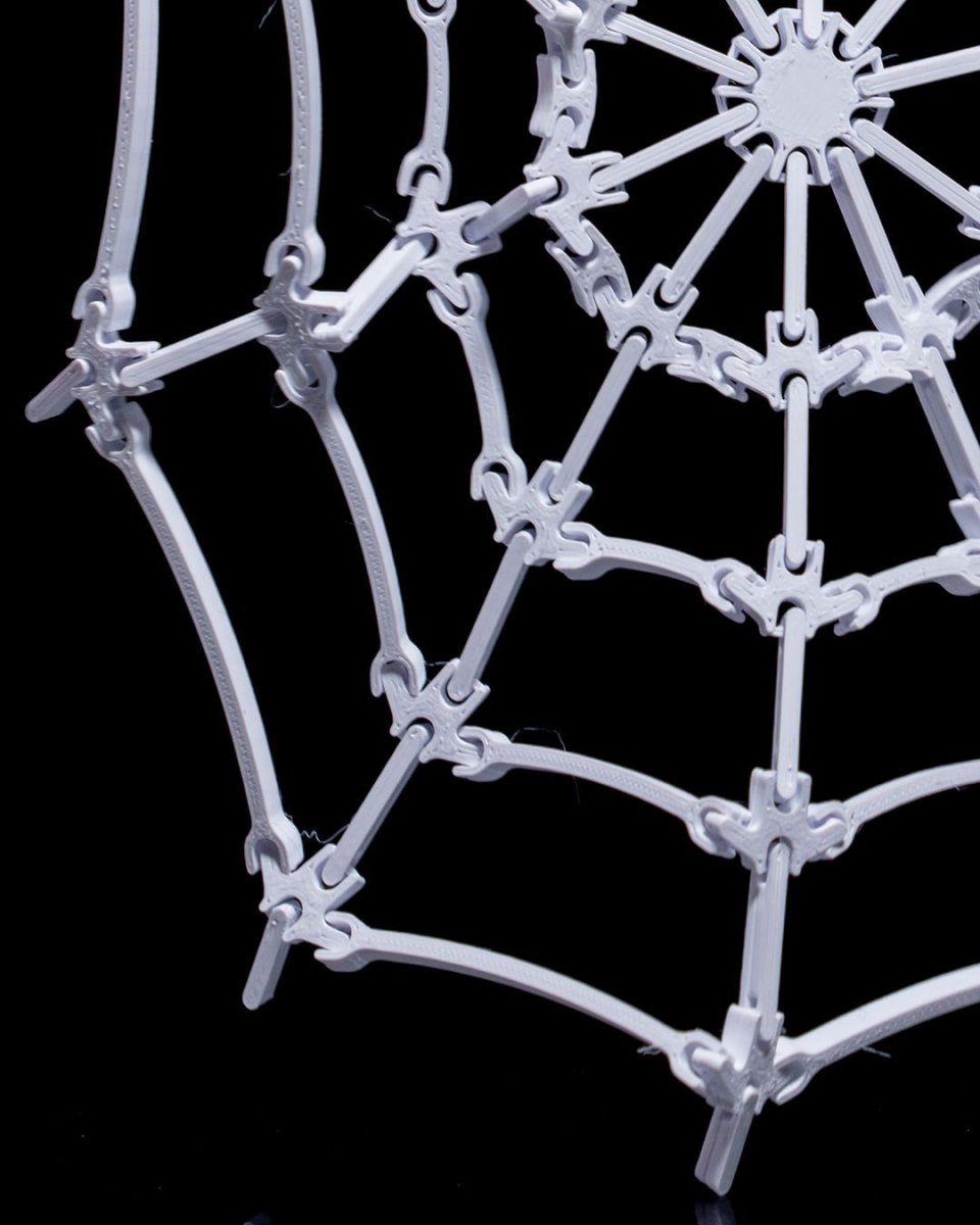 The Spider's Web - The Phynagrin Show