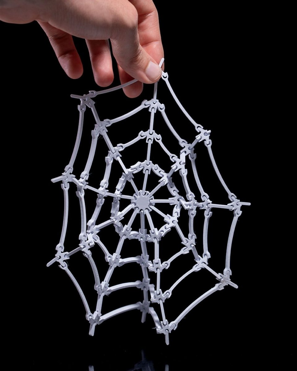 The Spider's Web - The Phynagrin Show