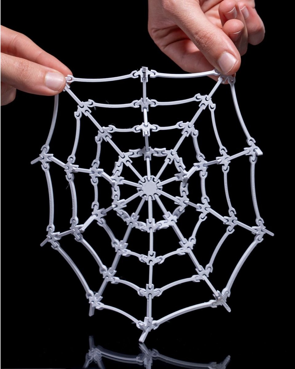 The Spider's Web - The Phynagrin Show