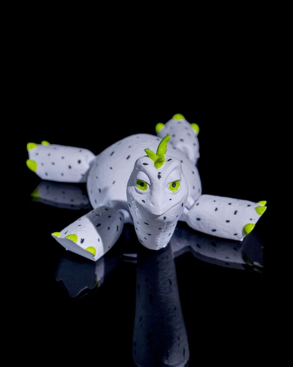 Turtle Fruit - The Phynagrin Show