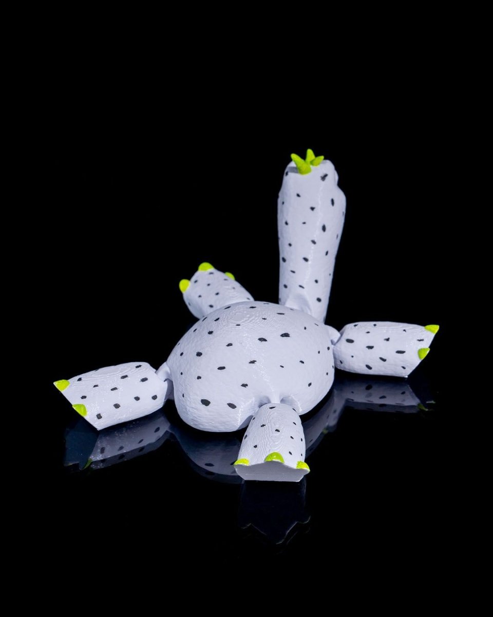 Turtle Fruit - The Phynagrin Show