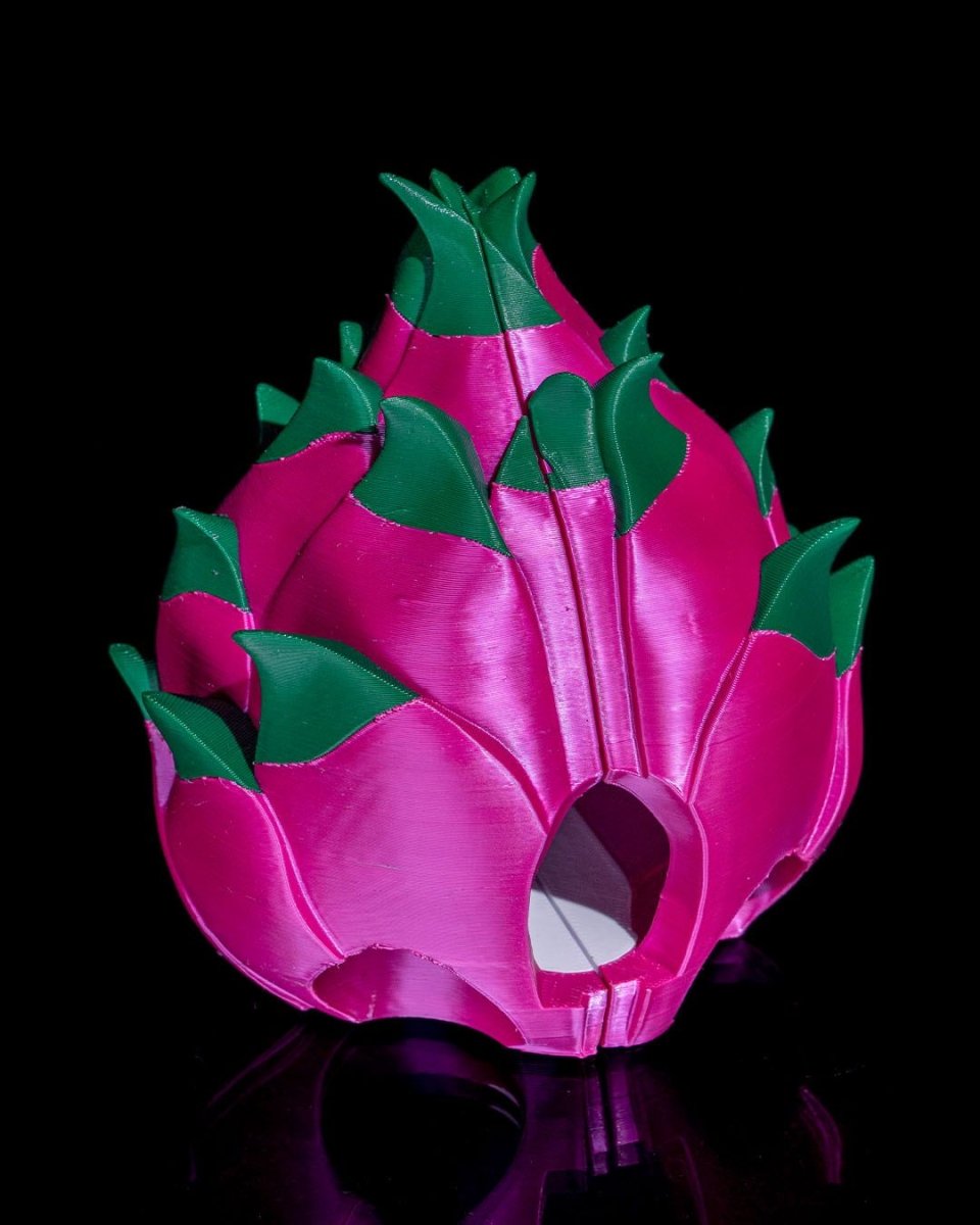 Turtle Fruit - The Phynagrin Show