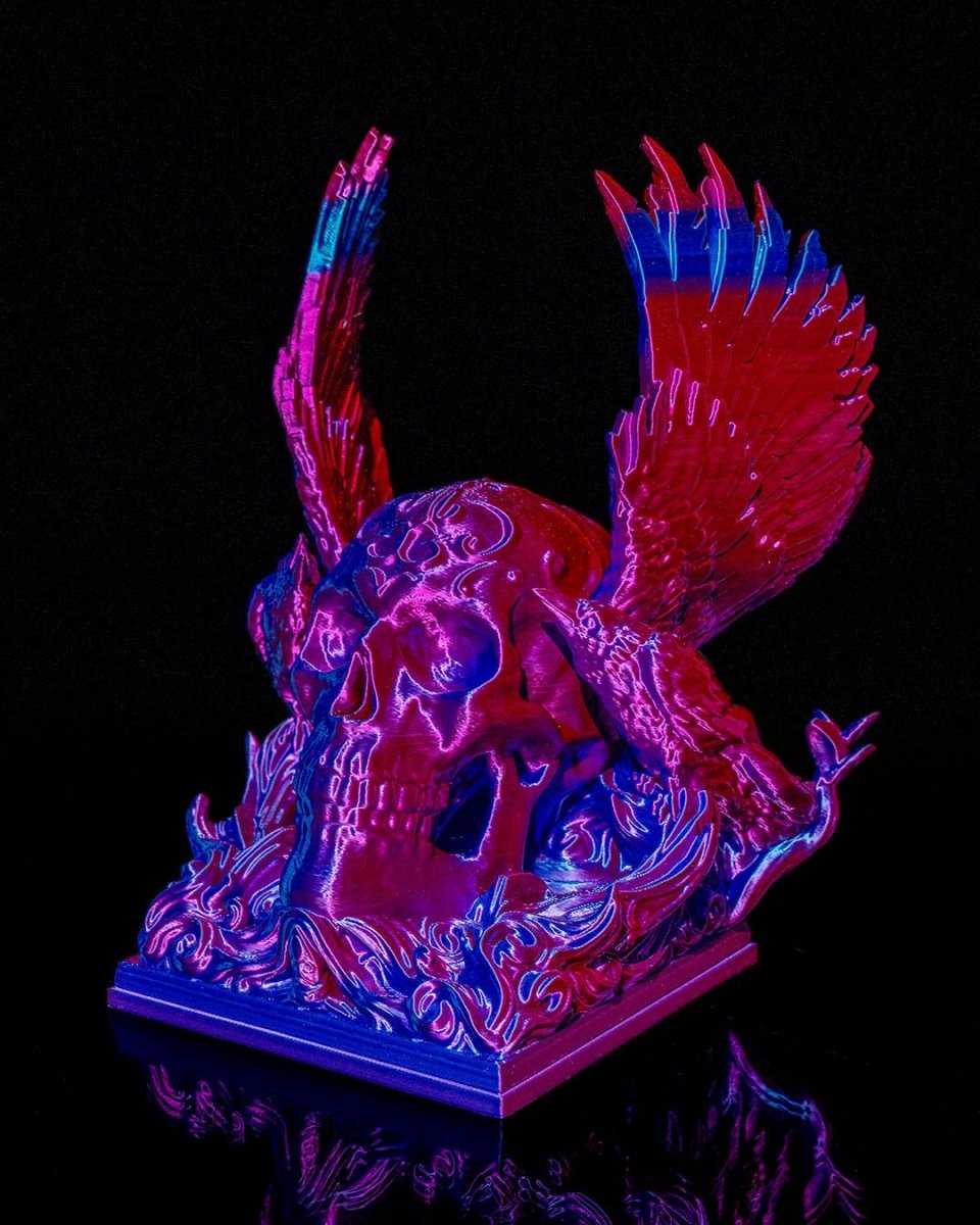Wings and Bones - The Phynagrin Show