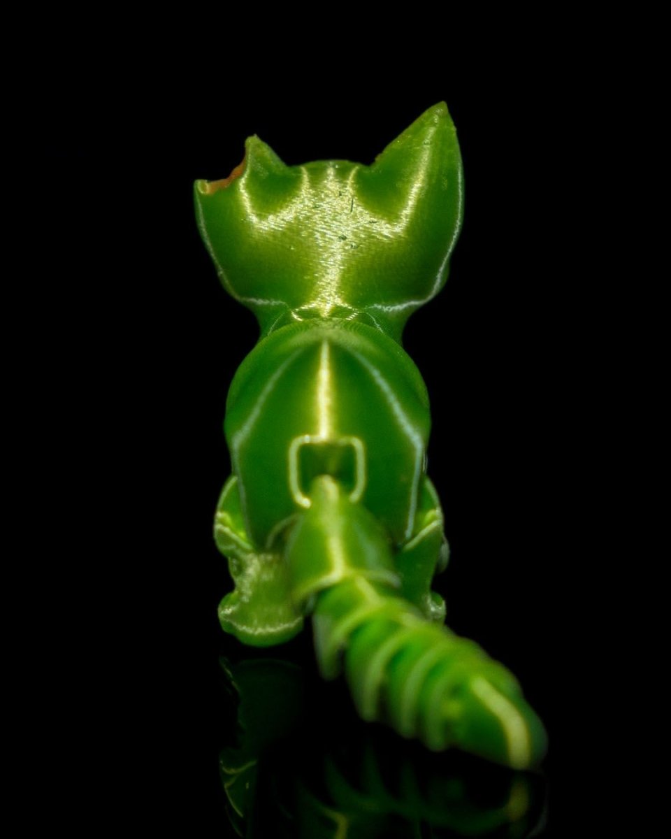 Zombie Kitty - The Phynagrin Show
