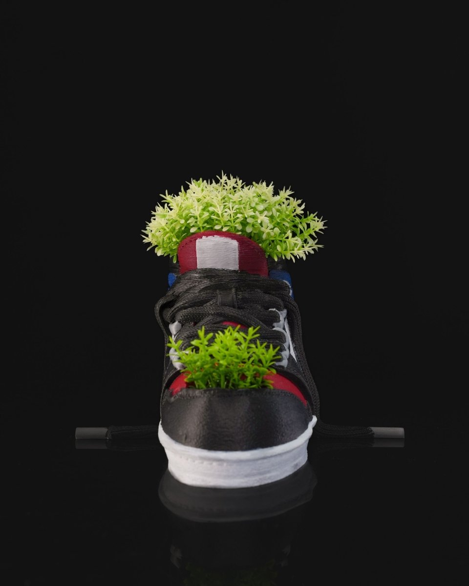 80s Sole Planter - The Phynagrin Show