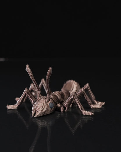 Ant - iculate - The Phynagrin Show