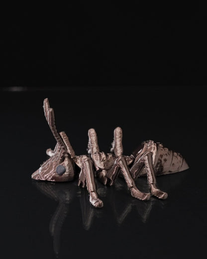 Ant - iculate - The Phynagrin Show