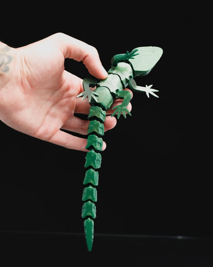 Articulated Lizard - The Phynagrin Show