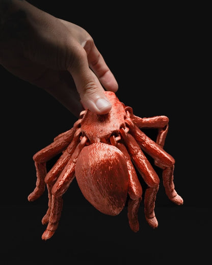 Articulated Tarantula - The Phynagrin Show