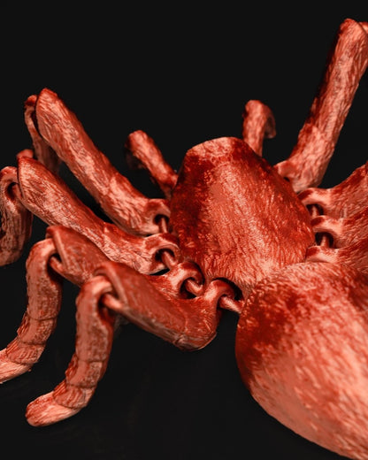 Articulated Tarantula - The Phynagrin Show