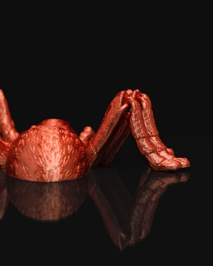 Articulated Tarantula - The Phynagrin Show