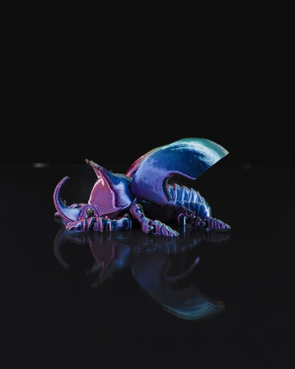 Articulated Unicorn Beetle - The Phynagrin Show