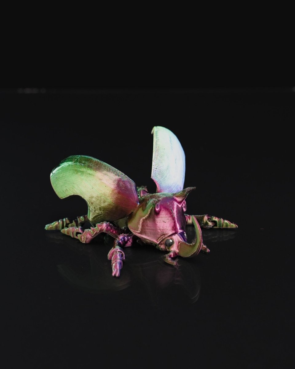 Articulated Unicorn Beetle - The Phynagrin Show
