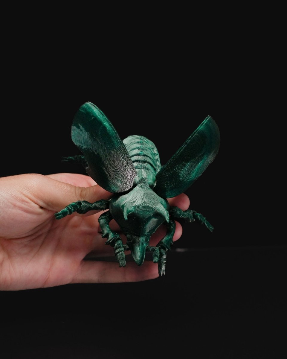 Articulated Unicorn Beetle - The Phynagrin Show