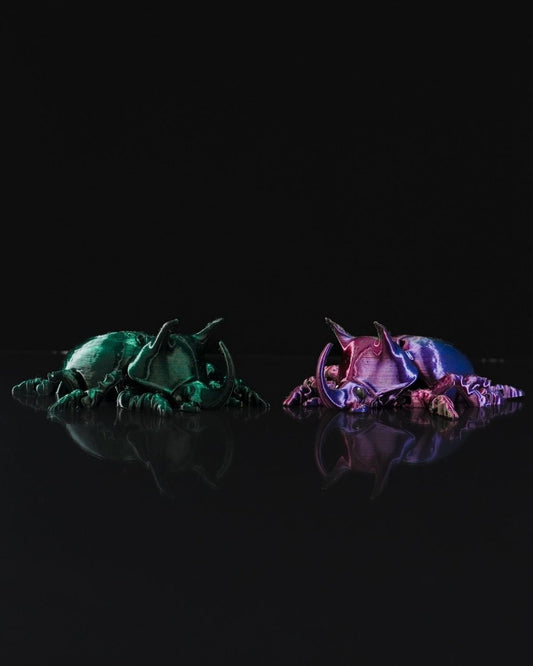 Articulated Unicorn Beetle - The Phynagrin Show