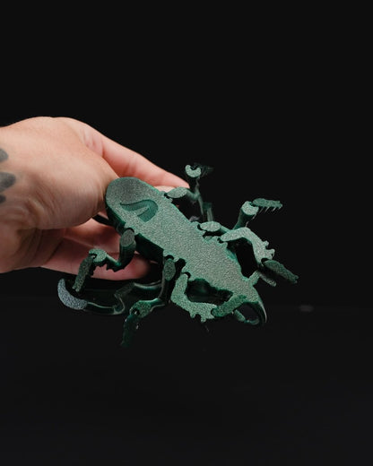Articulated Unicorn Beetle - The Phynagrin Show