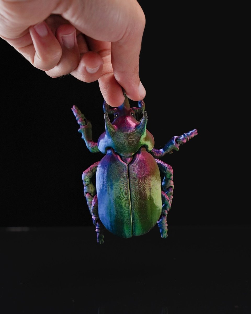Articulated Unicorn Beetle - The Phynagrin Show