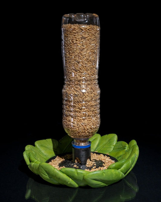 Bird Feeder in Disguise - The Phynagrin Show