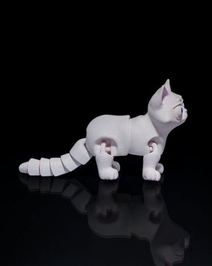 Busya The Cat - The Phynagrin Show