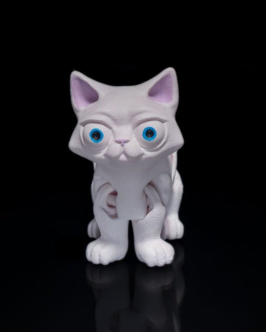 Busya The Cat - The Phynagrin Show