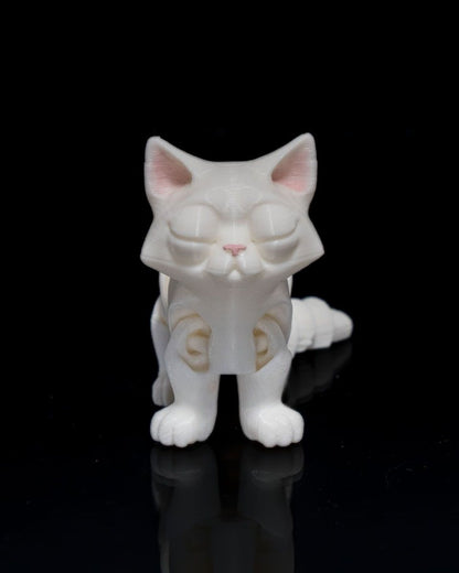Busya The Cat - The Phynagrin Show