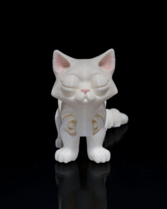 Busya The Cat - The Phynagrin Show