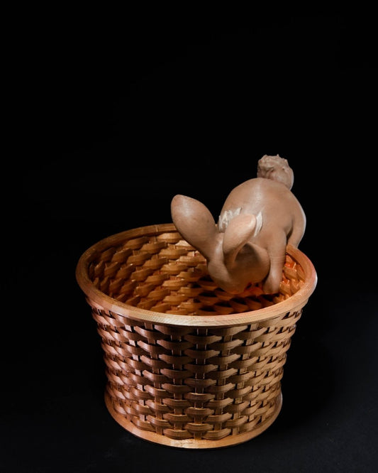 Easter Bunny Baskets - The Phynagrin Show