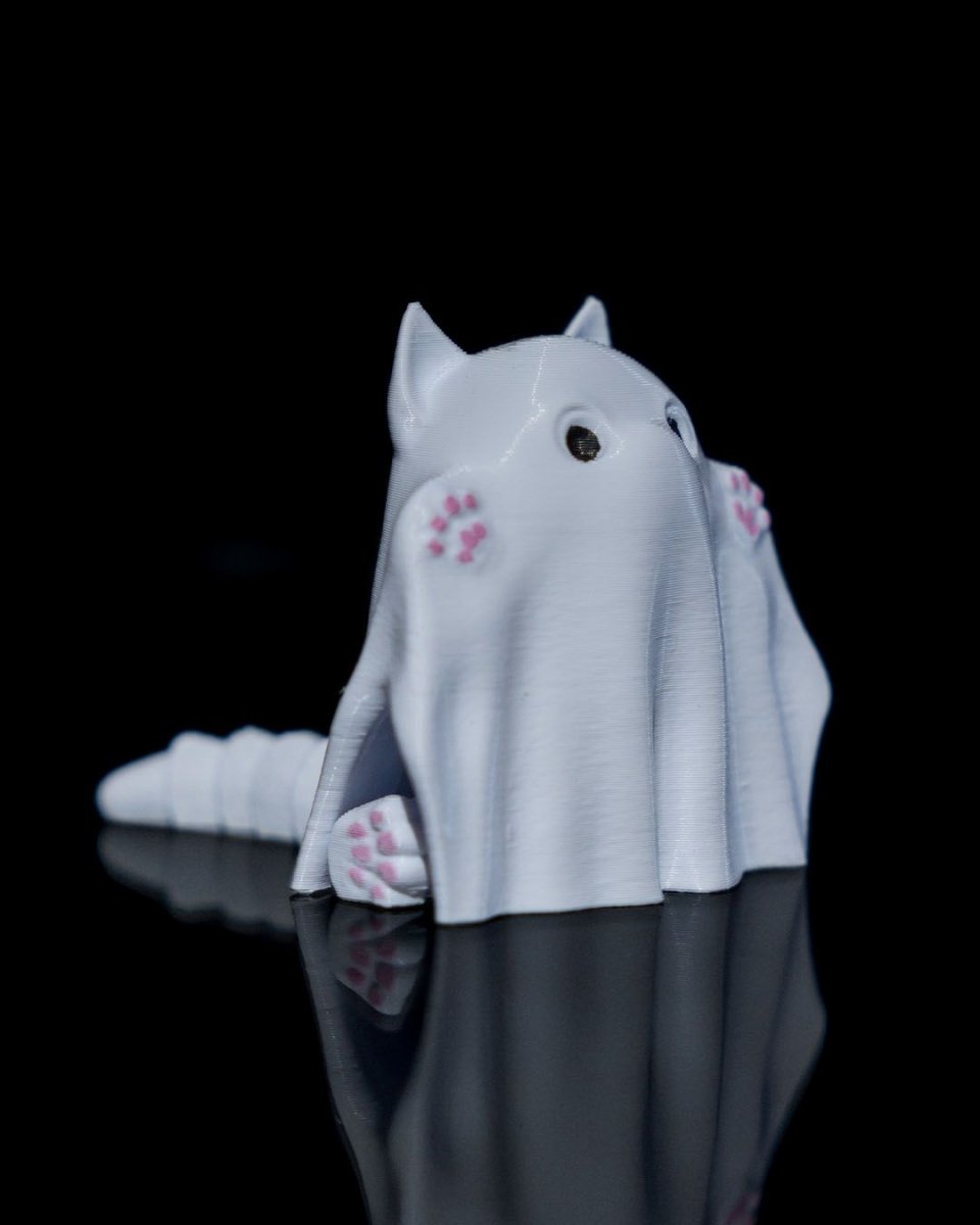 Ghost Kitty and Boo Kitty - The Phynagrin Show